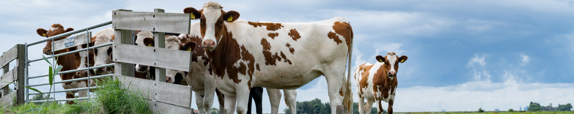 /bestanden/afbeeldingen/Header Land tuinbouw visserij.jpg